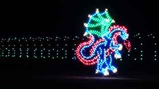 Christmas Lights