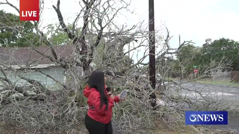 Tropical Storm Harold sees damage around the Coastal Bend