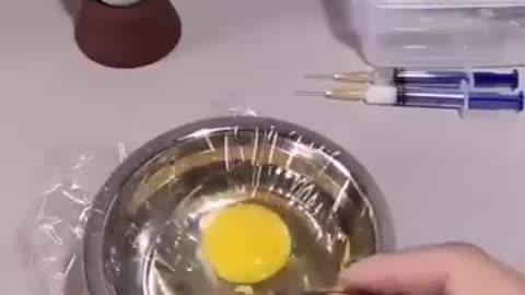 How a Chick is born from an EGG
