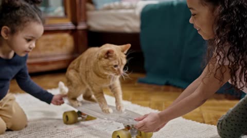 Adorable Cat Takes Skateboarding to the Next Level: Playful Fun with Kids!