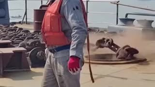 Cargo Ship Drops Anchor | Oddly Satisfying