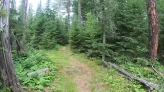 Oberholtzer Trail - Voyageurs National Park