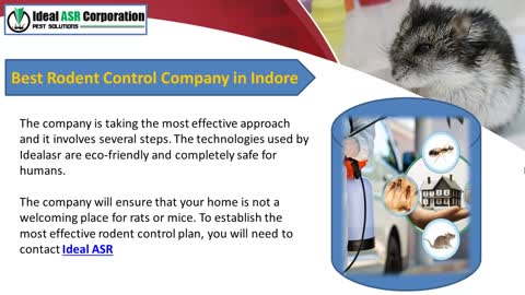 Rodent Control Treatment Services in Indore – IdealASR