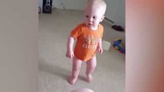 Best Friends Dogs and Babies - Try Not To AWW at funniest home videos