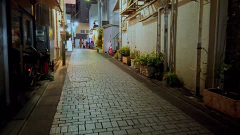 Tokyo Nightscape: Jiyugaoka Evening Walk in HD part 2