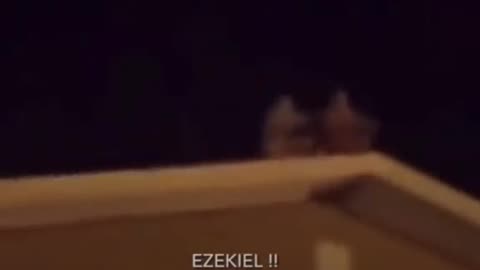 Tony Vs Ezekiel ,original meme "What's your name?