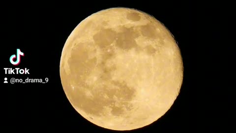 Waning Gibbous (98%) - 26.01.24