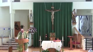 Homily for the 17th Sunday in Ordinary Time "A"