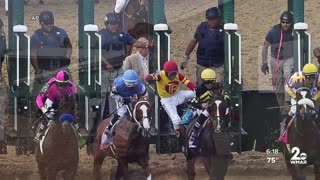 Mage magical ahead of 148th Preakness Stakes