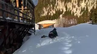 Diving Into The Snow