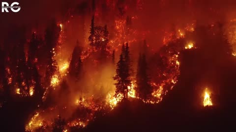 WEF Insider Admits Canadian Wildfires Being Used to Poison Americans