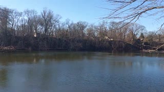 Former quarry, Baldwin Lake/Wallace Lake Berea Sandstone