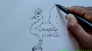 How To Draw Peacock With 4×4 Dots Peacock Drawing Step By Step Peacock Drawing Rangoli