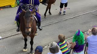 Mardi Gras Louisiana 2023