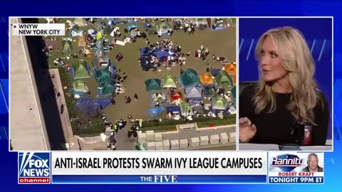 Anti-Israel protests on campuses didn't just happen overnight_ Perino