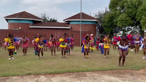 Zulu Reed Dance in South Africa