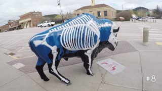 The Painted Buffalos of Custer SD