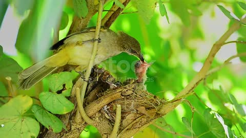 small bird has his lunch