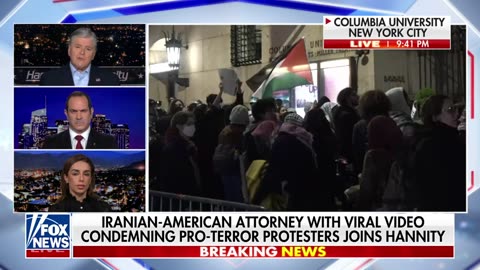 Iranian-American lawyer whose response to anti-Israel protesters went viral predicts new 'world war'