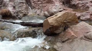 Water Wheel Trail on a snowy day Feb 14th, 2023 Arizona