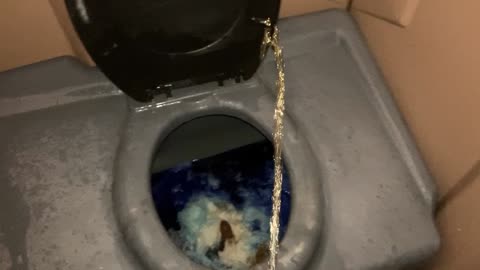 porta potty urination