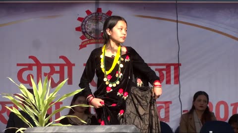 Beautiful Nepalese girls Dancing with Cultural dress-up