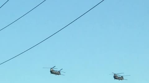 Chinooks in Sydney Skies (August 10th 2023 4:19PM AEST)