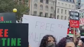 Pro Palestine March | London 1