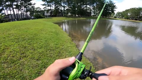 Topwater ONLY Day of Pond Fishing! (PB BASS)