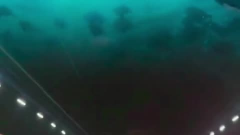 China Underwater Tunnel #viral #ytshorts #foryou #china #underwater #underworld