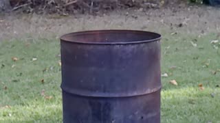 Burning yard waste in a barrel - Episode 4 (10/23/2023)