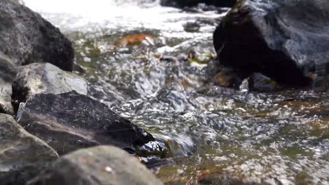 Relaxing sounds, running water, relaxing piano music.