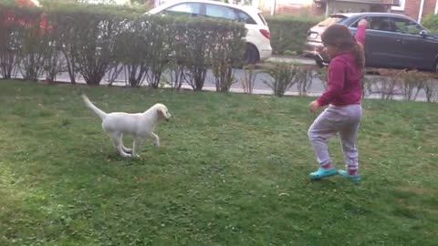 Baby Girl Playing with her Dog
