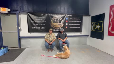 Bailey's 15 Day Transformation - 10 month old Aussie Doodle - New Braunfels, TX - #dogtraining #nbtx