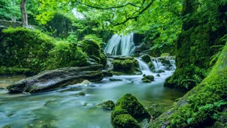 Relaxing Nature Sounds, Forest Stream Water Flow Noise, Birds Chirping Sounds