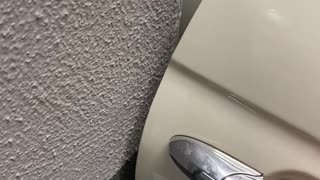Close Call With Car Door