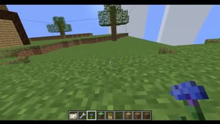 A completely normal Minecraft video
