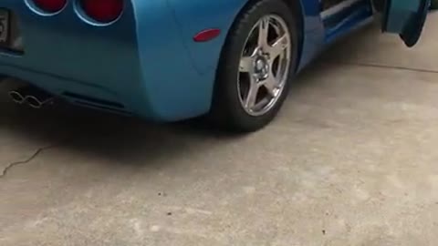 1999 Chevrolet Corvette C5 Nassau Blue Start Up and Walk Around