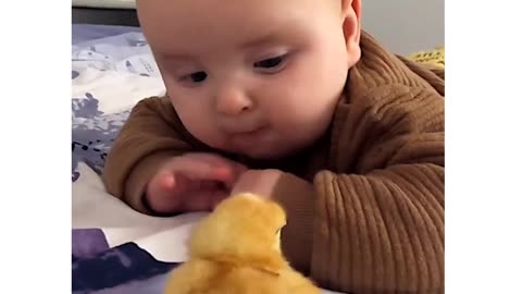 Meet cute baby with his pet.