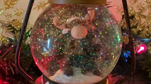 Musical Moose Snow globe SILENT NIGHT #moose #silentnight