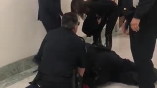 Capitol PD tackled the protester outside of the Judiciary Oversight Hearing.