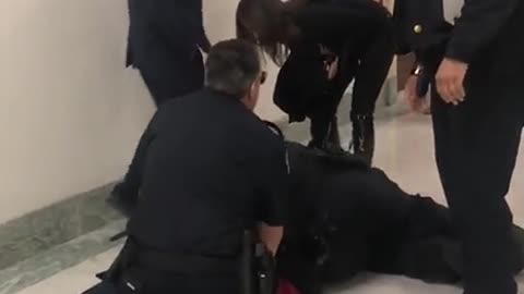 Capitol PD tackled the protester outside of the Judiciary Oversight Hearing.