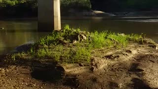 13.4.2024 The Barron River, Kuranda