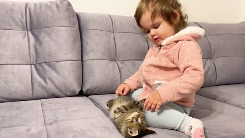 Cute Baby Meets New Baby Kitten for the First Time playing with cat