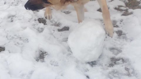 Balls frozen to ground
