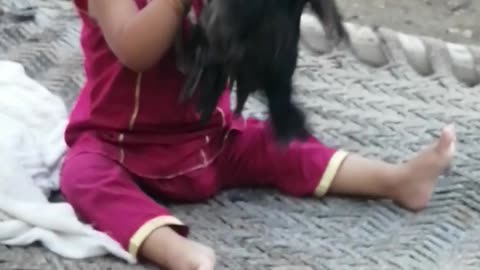 Little girl playing with hen