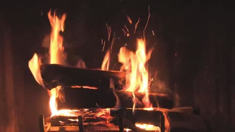 1 Relaxing Wild Music with Beautiful Fireplace