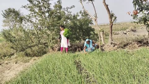 Indian Women Life in Uttar Pradesh Village | The Most Beautiful Village in India | Village life