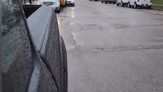 Driver hitting a school bus