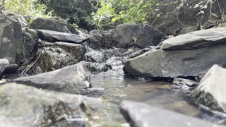 4K video of a river with soothing water and bird sounds. Ideal for sleeping, studying, or meditating